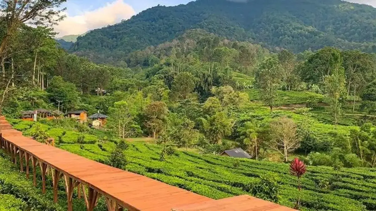 Liburan Rp 400 Ribu Bisa 3 Hari 2 Malam? Ini Tempatnya Dekat Jakarta!
