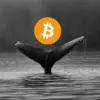 Dompet Era Satoshi