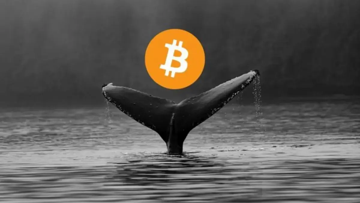 Dompet Era Satoshi