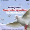 Burung Ternyata Lebih Hebat dari GPS, Ini Penjelasan Ilmiahnya!