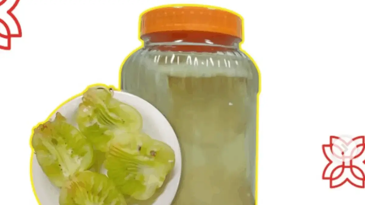 Sudah Dipatenkan! Kombucha Buah Sempur Siap Jadi Produk Kesehatan Lokal yang Mendunia