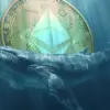 Whale Ethereum