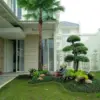 Ternyata Bisa Sekeren Ini! 7 Ide Taman Depan Rumah 6x9 Meter yang Bikin Tetangga Melirik