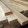 Kayu Jati atau Mahoni? Ini Panduan Lengkap Pilih Kayu Pintu yang Tahan Lama