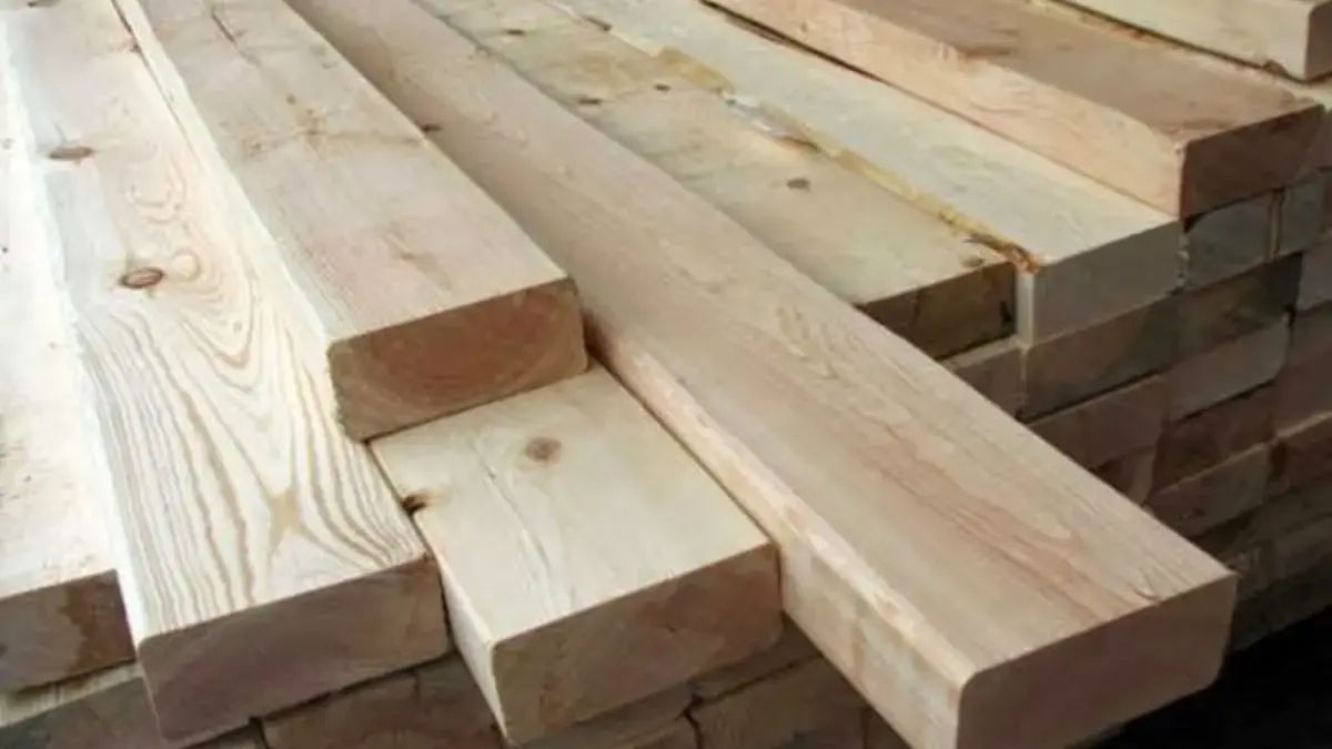 Kayu Jati atau Mahoni? Ini Panduan Lengkap Pilih Kayu Pintu yang Tahan Lama