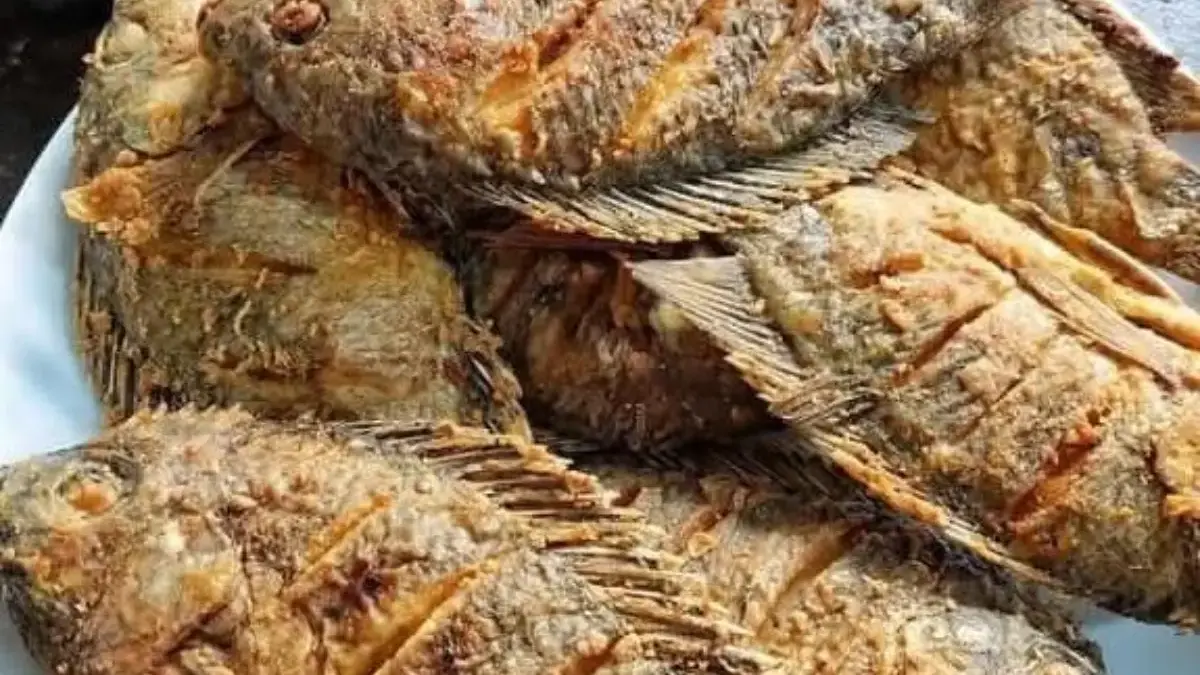 Cara Membuat Ikan Mujair Goreng Crispy yang Renyah Diluar Lembut Didalam