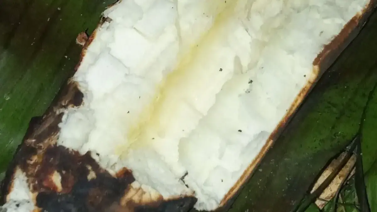 Resep Singkong Bakar Keju Meleleh yang Lumer Dimulut