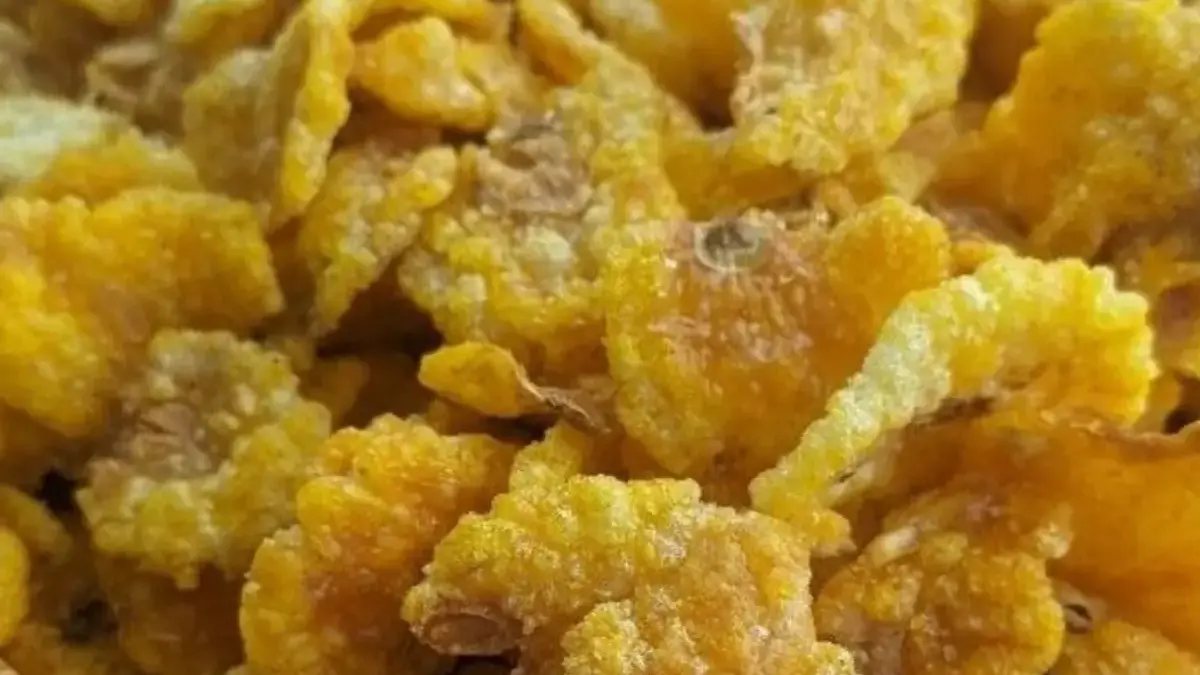 Cara Membuat Camilan Jagung Manis yang Renyah dan Gurih untuk Anak