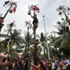 Panjat Pinang Masih Jadi Primadona? Ini Lomba 17-an Terbaru!