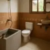 Transformasi Kamar Mandi, Rekomendasi 5 Model Bak Mandi Teraso yang Bikin Rumah Makin Modern
