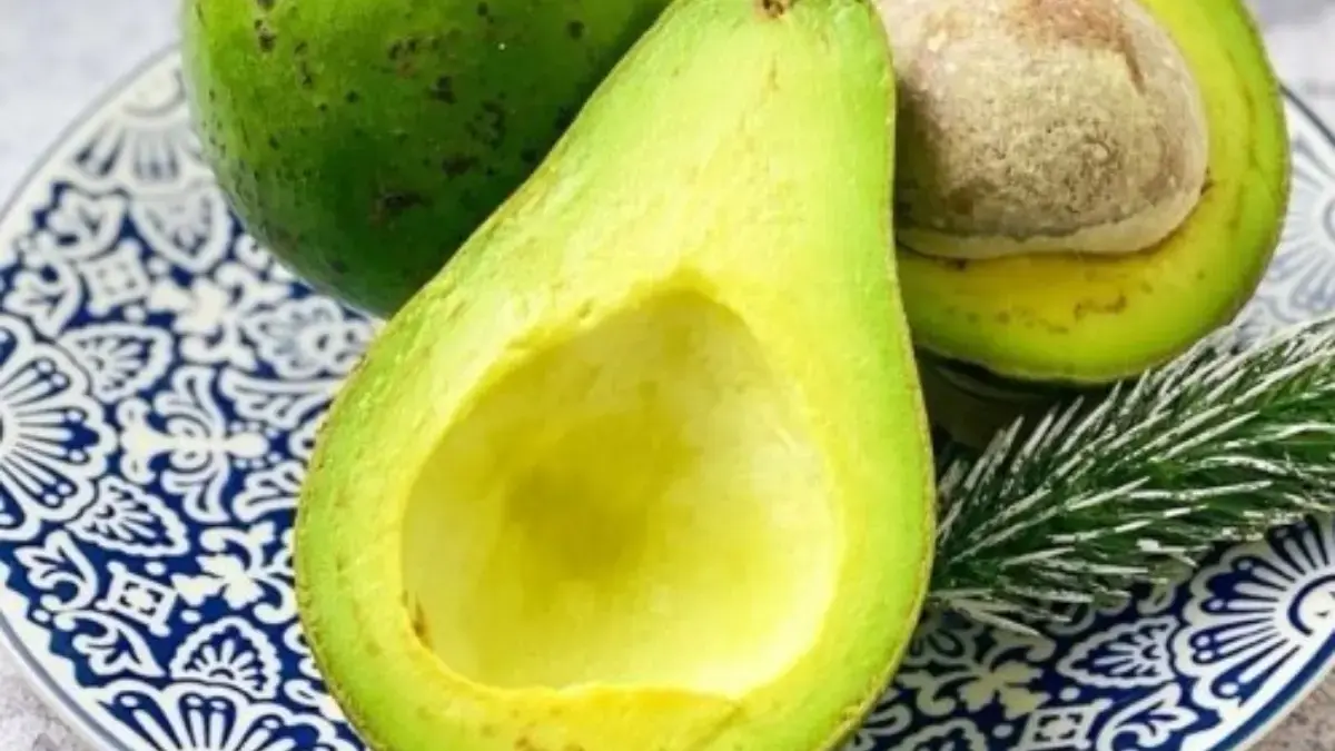 7 Jenis Buah Alpukat yang Mungkin Tidak Asing Bagi Anda 