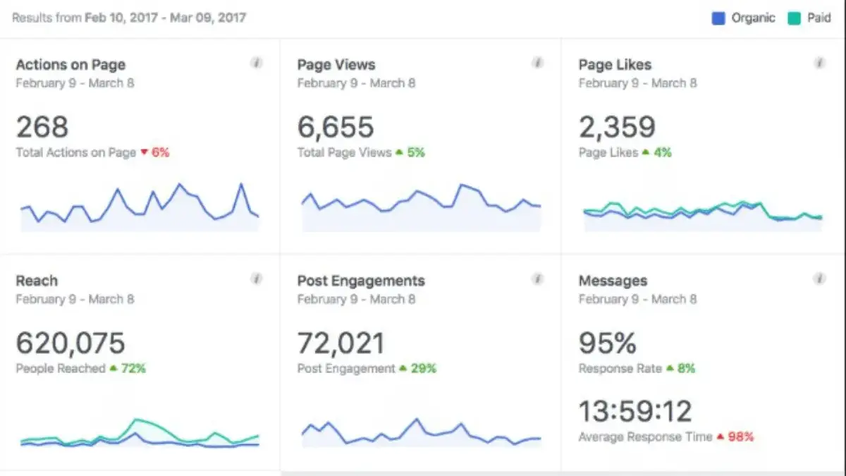 Cara Membaca dan Menganalisis Insight Media Sosial