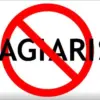 Cara Menghindari Plagiarisme Konten di Media Sosial Agar Tidak Melanggar Pedoman Komunitas