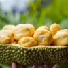 5 Fakta Tentang Buah Cempedak,Seperti Nangka Namun Memiliki Wangi yang Sangat Menyengat
