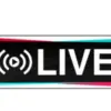 Dampak Pemblokiran Fitur Live TikTok Selama Aksi Demonstrasi