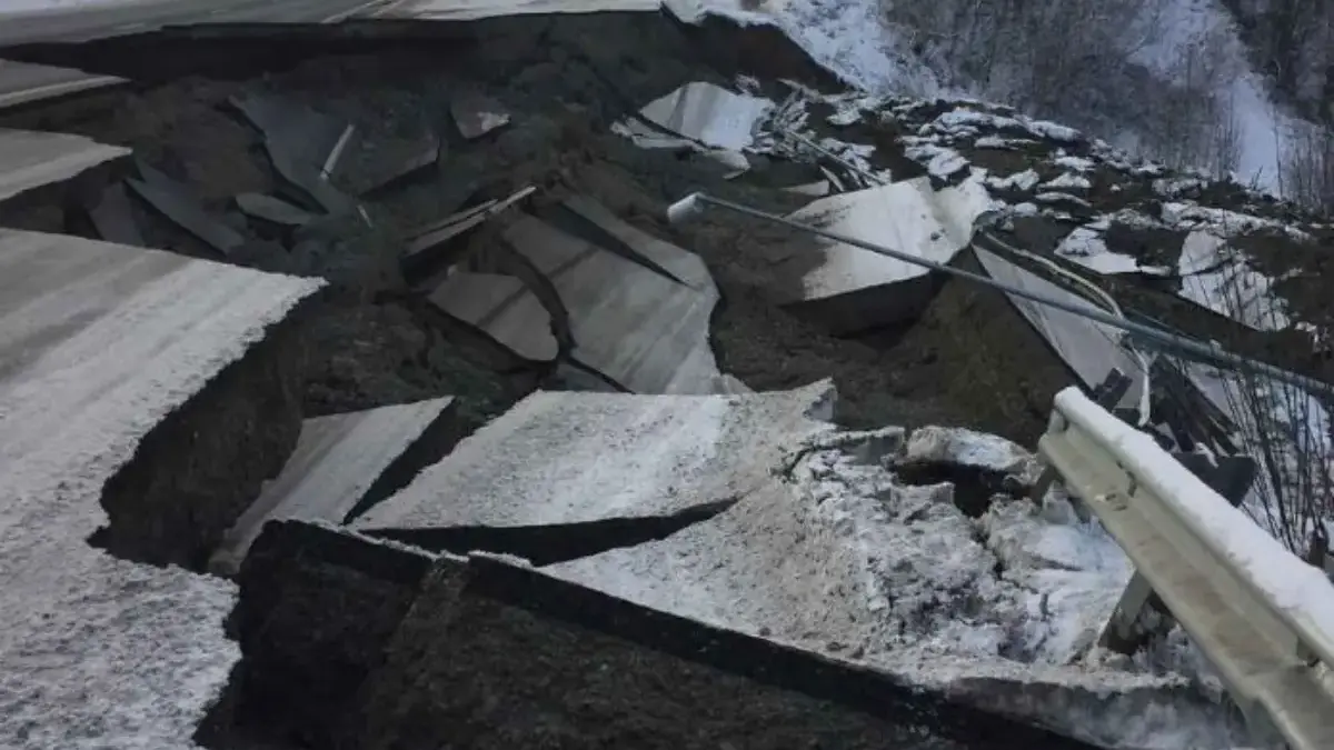 Sangat Hebat, 5 Hewan yang Bisa Mendeteksi Gempa 