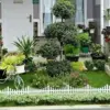 7 Jenis Tanaman Hias yang Tidak Beracun untuk Mempercantik Ruang Tamu 