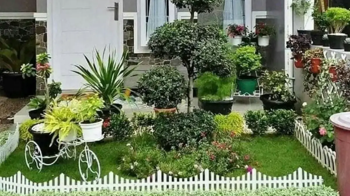 7 Jenis Tanaman Hias yang Tidak Beracun untuk Mempercantik Ruang Tamu 