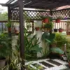 Rekomendasi 7 Jenis Tanaman Hias Gantung yang Cantik untuk Dekorasi Ruang Tamu Minimalis 