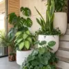 Tips Memilih Tanaman Indoor untuk Rumah Modern yang Estetik dan Sehat