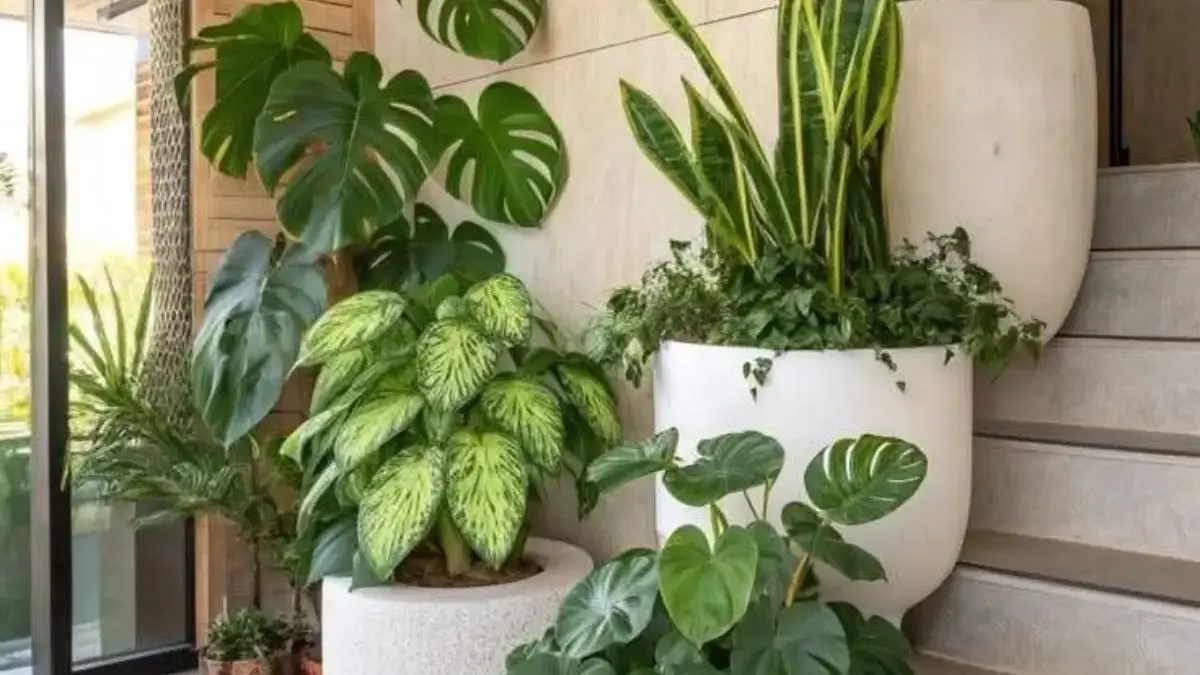 Tips Memilih Tanaman Indoor untuk Rumah Modern yang Estetik dan Sehat