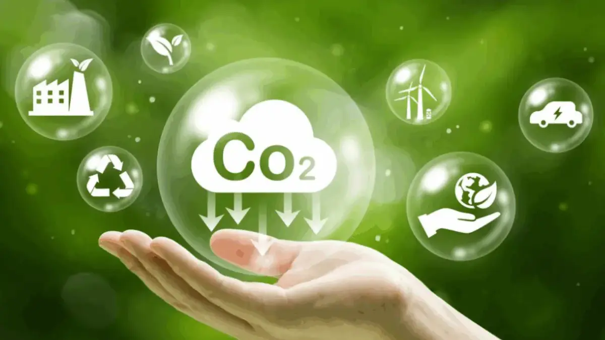 Jejak Karbon Digital: Dampak Tersembunyi dari Kehidupan Daring Kita