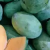5 Jenis Buah Mangga Lokal yang Sangat Manis dan Juga Segar Wajib Kamu Coba