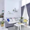 5 Tanaman Hias Cantik untuk Ruang Tamu yang Mudah Dirawat bagi Pemula