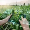Dari Ladang ke Layar: Strategi Promosi Media Sosial untuk Petani dan UMKM Desa