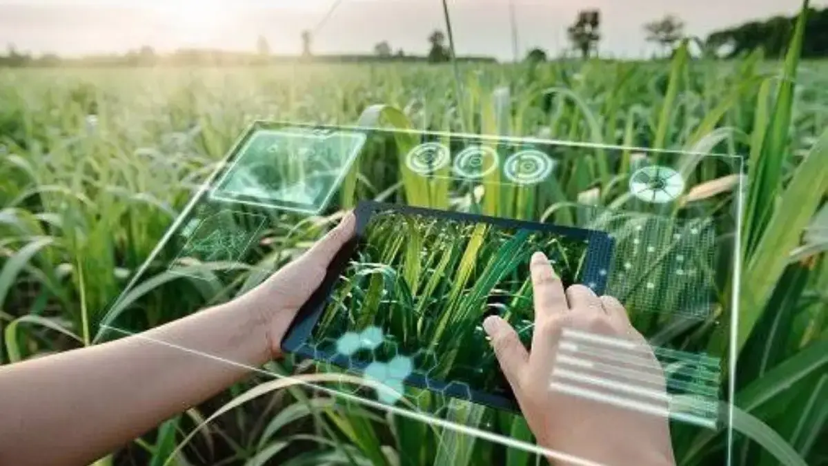Dari Ladang ke Layar: Strategi Promosi Media Sosial untuk Petani dan UMKM Desa
