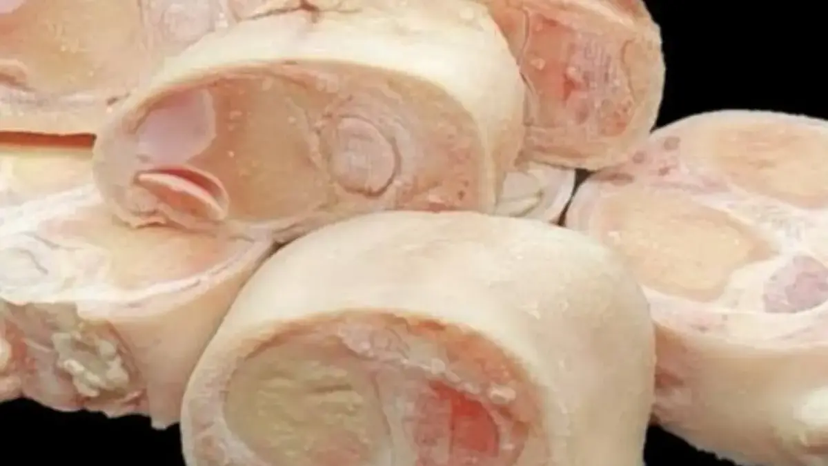 6 Bagian dari Sapi yang Bisa Dimasak Dan Menjadi Hidangan Yang Lezat, Mau Coba ?