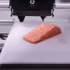 Printer 3D Makanan 2025, Cetak Pizza dan Burger dalam Hitungan Menit
