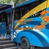 Dengan Uang 5 Ribu Bisa Keliling Kota Cirebon ?, Kini Ada BRT Trans Cirebon dan Rute BRT Trans Cirebon 