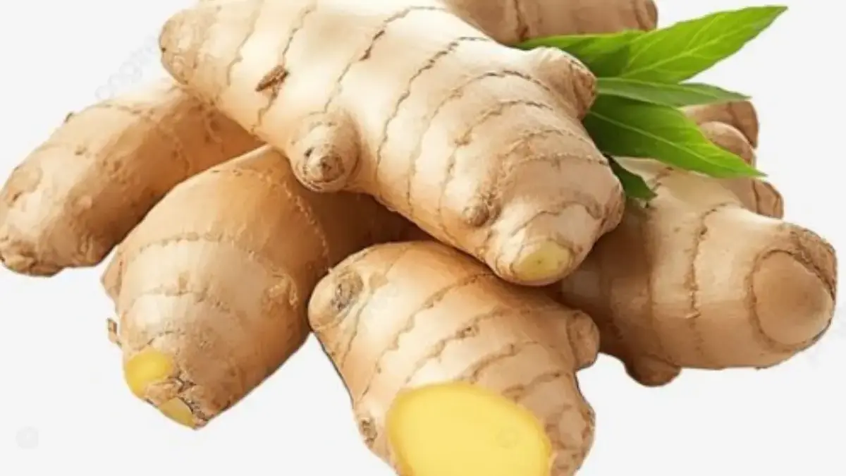 5 Makanan yang Baik Untuk Pengidap Asam Lambung 