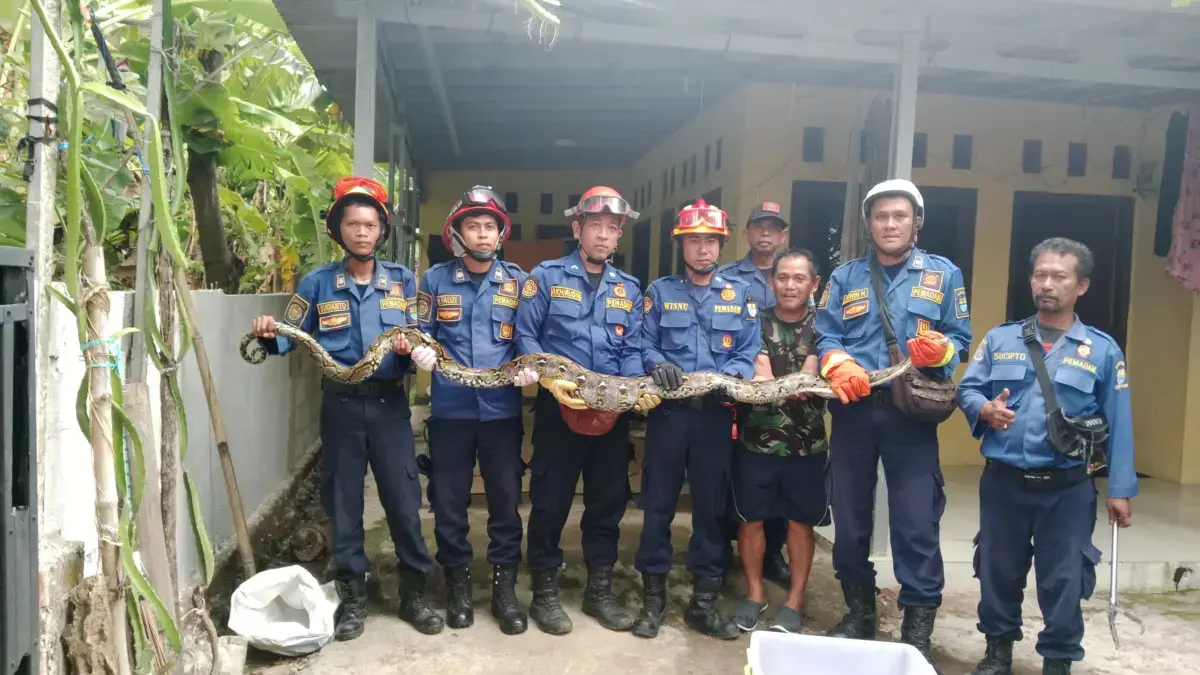 Damkar Jadi Dinas Paling Sibuk, Evakuasi Ular hingga Bantu Kerjakan Tugas Sekolah Pemkot Cirebon