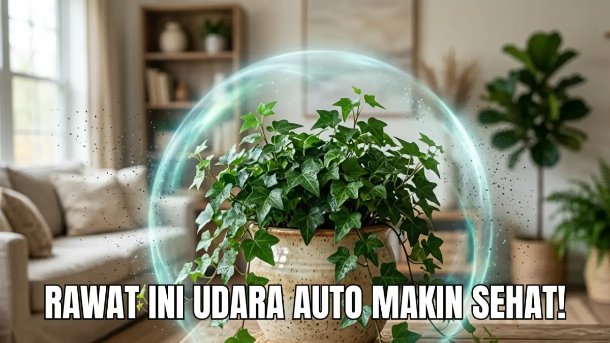 Tanaman Hias Penyerap Polutan yang Mudah Dirawat