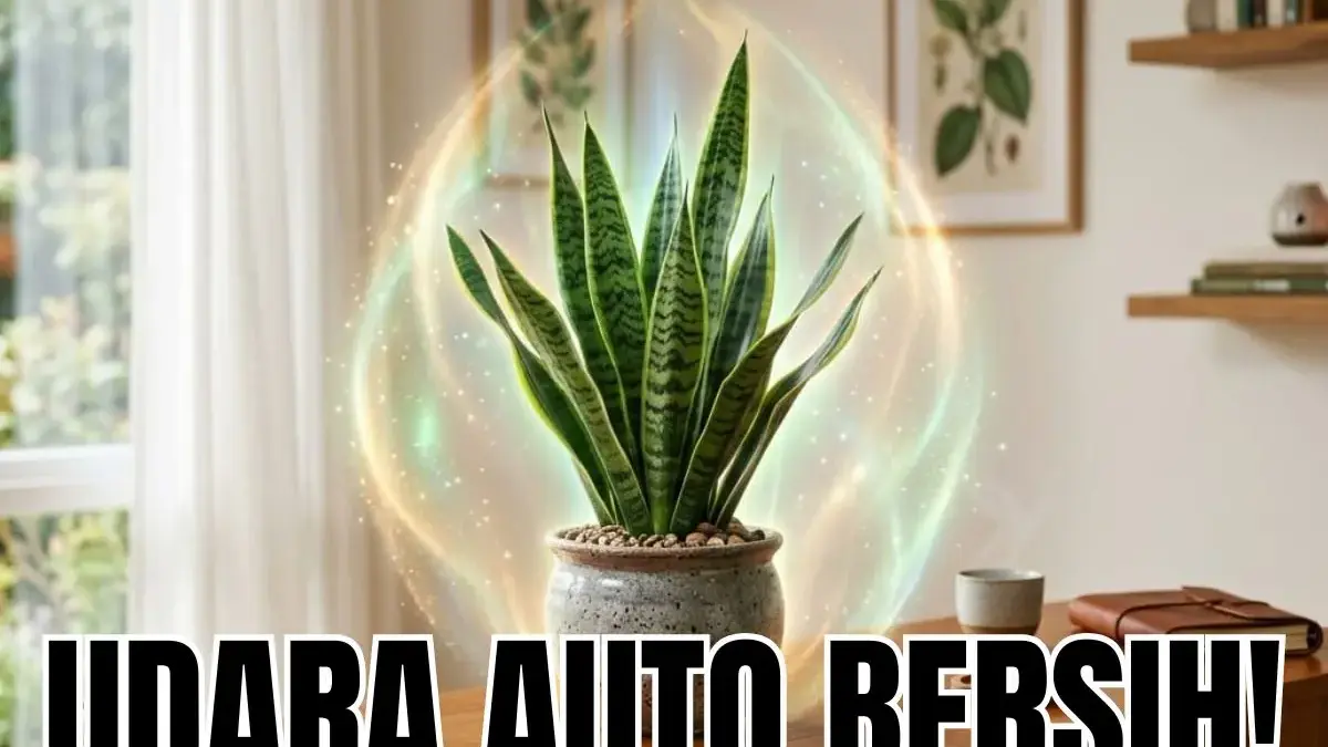 4 Cara Merawat Tanaman Hias Pembersih Udara di Rumah, Dijamin Tidak Gampang Mati! Tanaman Hias Pembersih Udara di Rumah