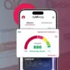 cara membersihkan slik ojk
