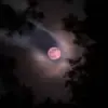 Kapan Strawberry Moon Terjadi Tahun Ini? Catat Jadwal dan Cara Melihatnya
