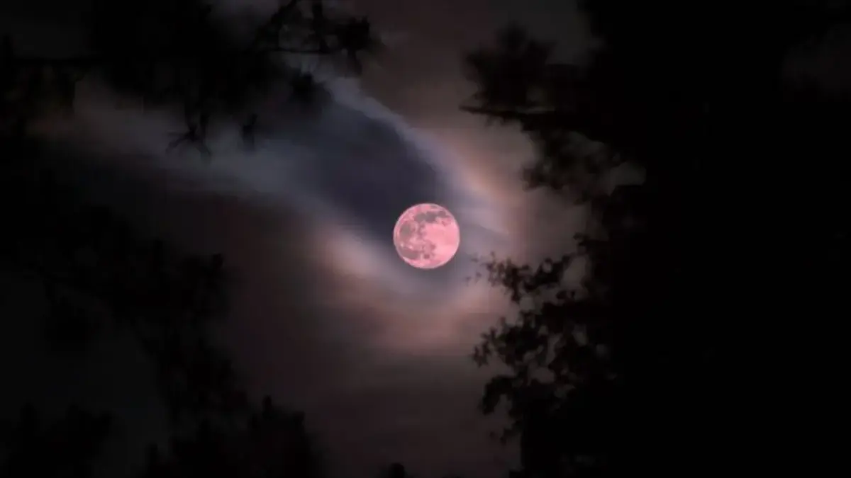 Kapan Strawberry Moon Terjadi Tahun Ini? Catat Jadwal dan Cara Melihatnya