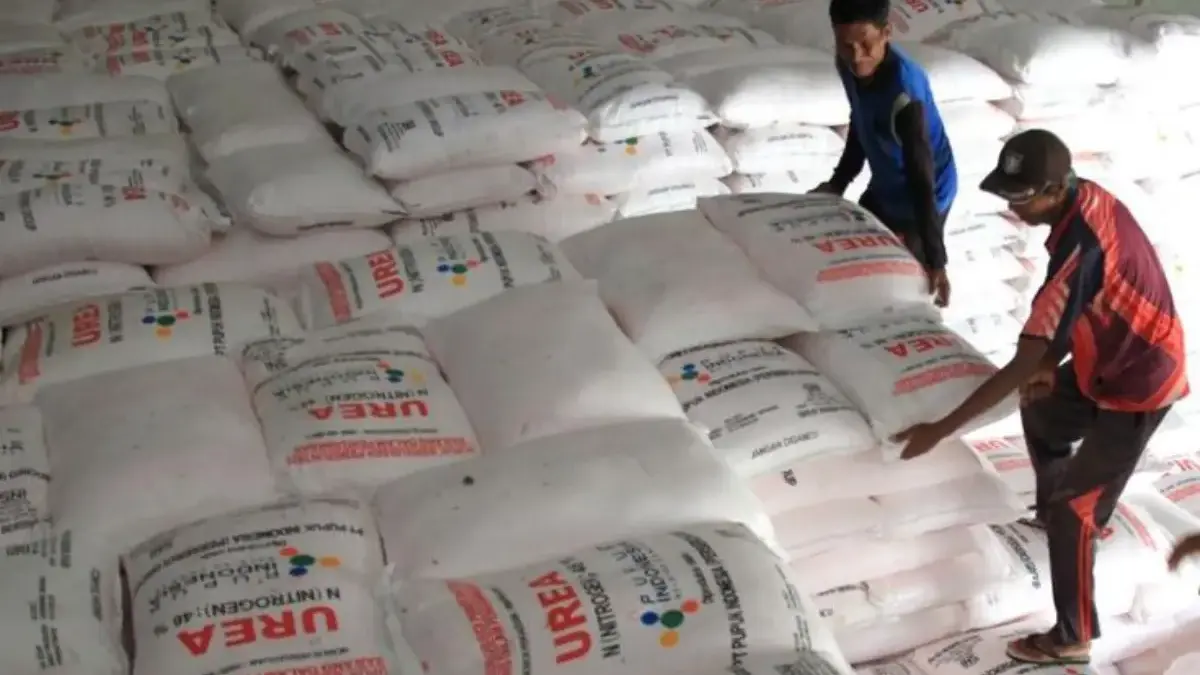Cara Mendapatkan Pupuk Indonesia Subsidi: Syarat Lengkap dan Prosedurnya