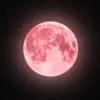 Apa Itu Strawberry Moon? Mengenal Asal-Usul Nama dan Fakta Uniknya
