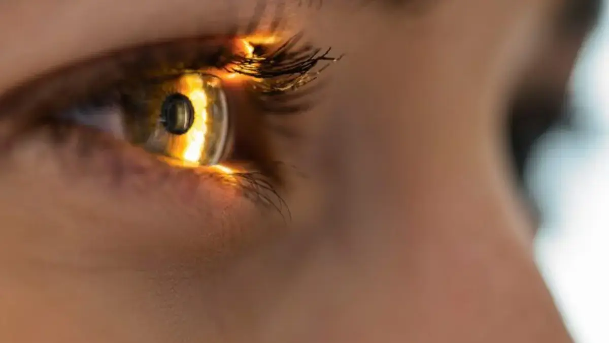 Bahaya Retinopati Surya Akibat Radiasi Gerhana Matahari