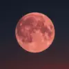 Arti Strawberry Moon dalam Astrologi dan Efeknya yang Jarang Diketahui