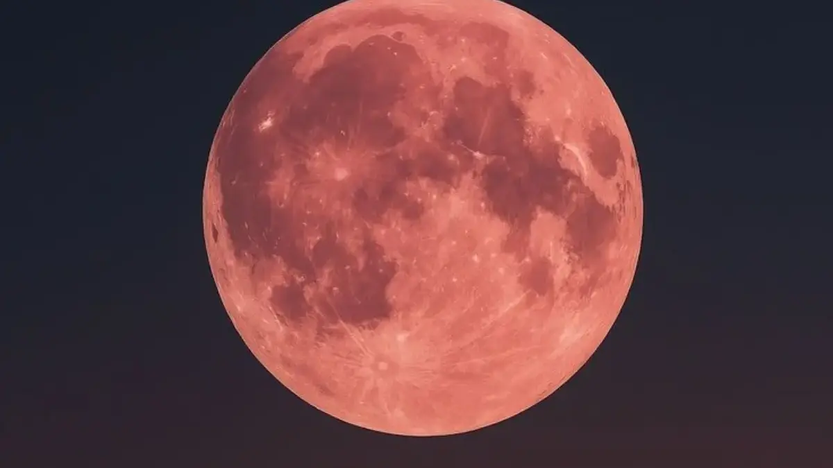 Arti Strawberry Moon dalam Astrologi dan Efeknya yang Jarang Diketahui
