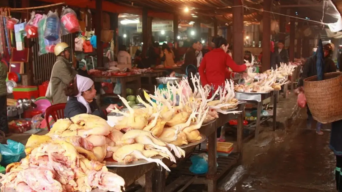 Harga Bahan Pokok Kabupaten Cirebon Hari Ini 8 Juli 2026, Daging Sapi Naik, Ayam Turun 4%! Harga Bahan Pokok Kabupaten Cirebon Hari Ini 8 Juli 2026, Daging Sapi Naik, Ayam Turun 4%!